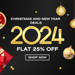 Best WordPress Christmas and New Year Deals 2023-24